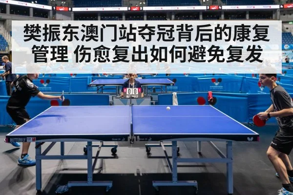 樊振东澳门站夺冠背后的康复管理 伤愈复出如何避免复发