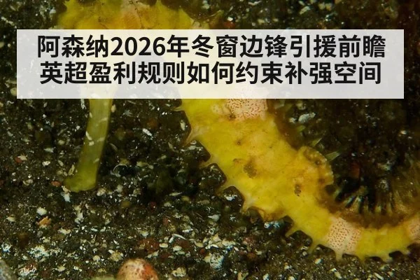 阿森纳2026年冬窗边锋引援前瞻 英超盈利规则如何约束补强空间
